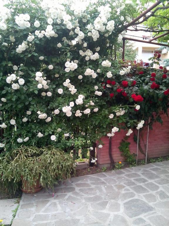 Guest House By The Captain Warna Exterior foto